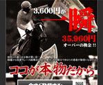 カッパギ競馬NET