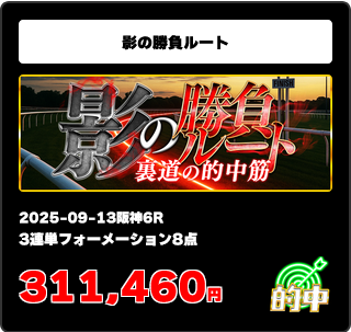 「影の勝負ルート」の予想的中実績