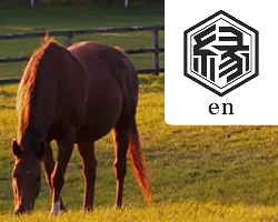 競馬予想サイト縁-en-